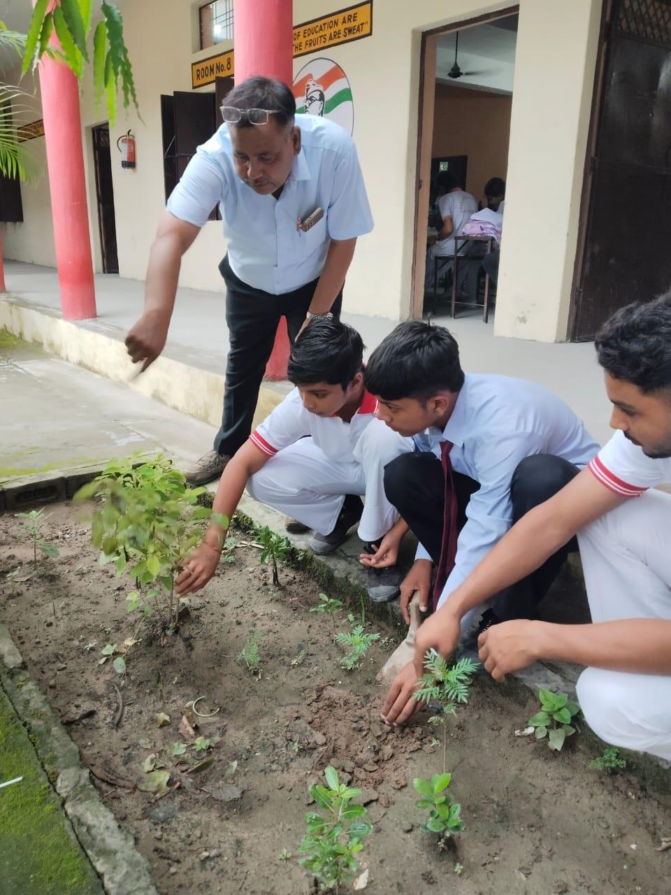 Our School